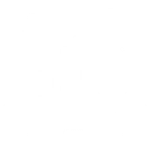 Logo Febs4girls blanco