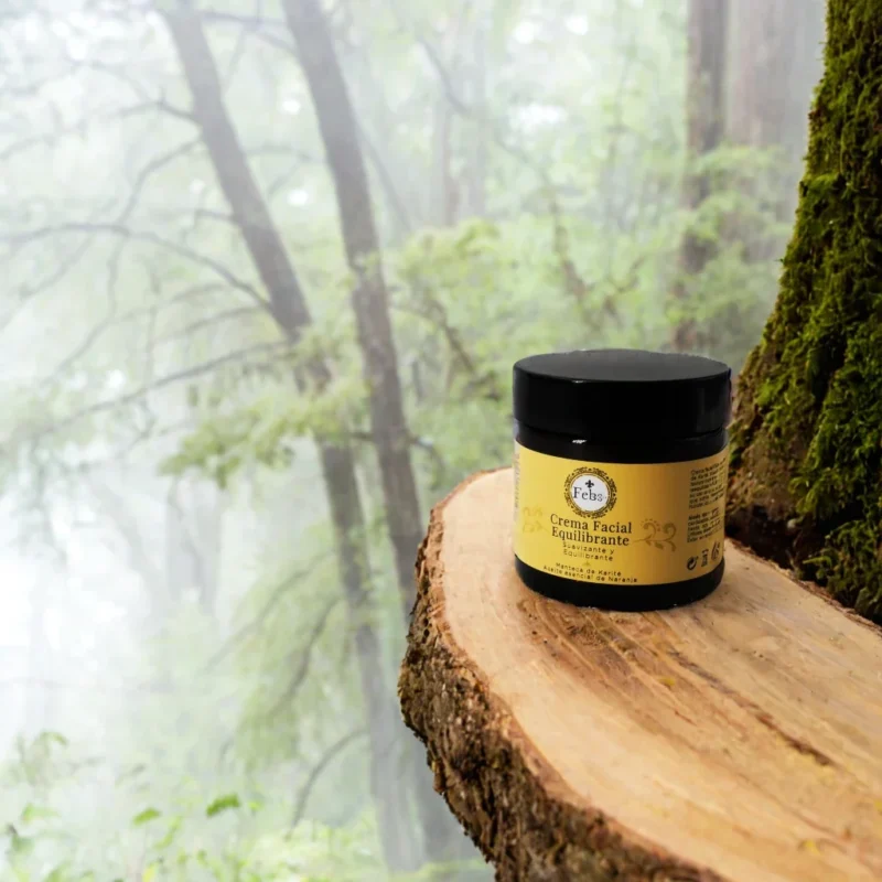Fotografía artística de la Crema Facial Equilibrante de Febs, posada sobre una rodaja de madera en un frondoso y brumoso bosque. El fondo de árboles y niebla evoca una sensación de pureza, naturaleza y calma.