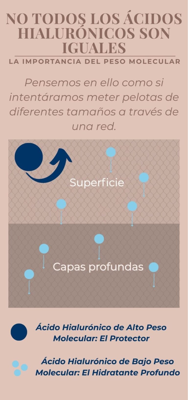Infografía explicando la diferencia entre el ácido hialurónico de alto y bajo peso molecular y su penetración en la piel.